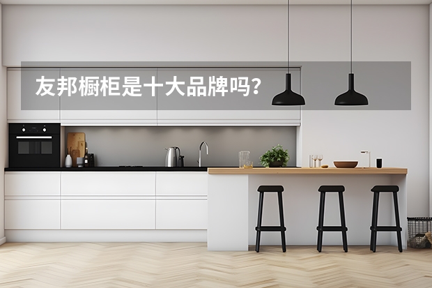友邦橱柜是十大品牌吗？