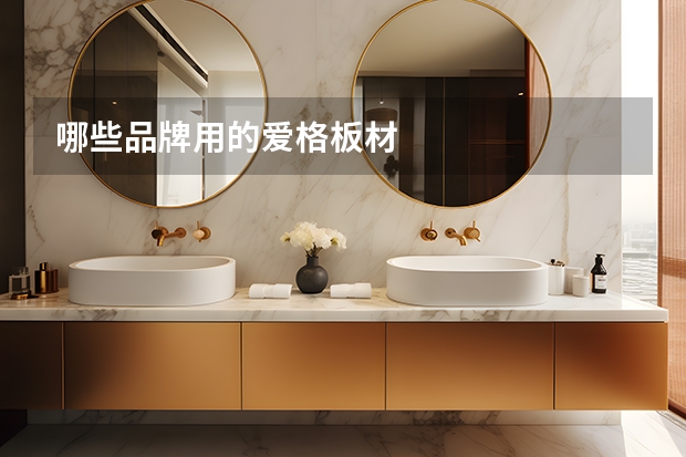 哪些品牌用的爱格板材
