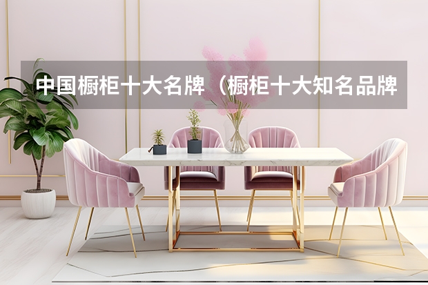 中国橱柜十大名牌（橱柜十大知名品牌）