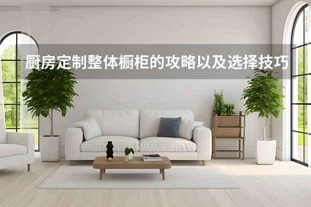 厨房定制整体橱柜的攻略以及选择技巧（盘点意大利博物馆级别的顶级家具品牌）