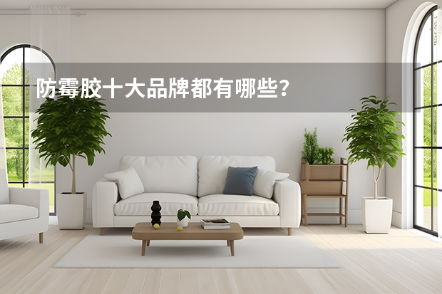 防霉胶十大品牌都有哪些？