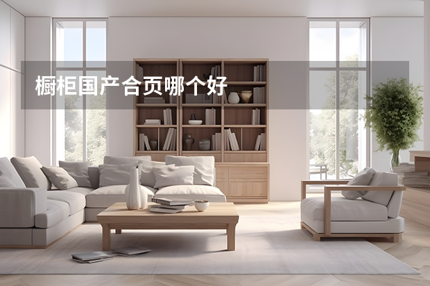 橱柜国产合页哪个好