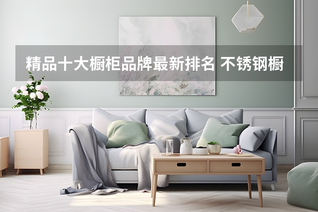 精品十大橱柜品牌最新排名 不锈钢橱柜十大名牌
