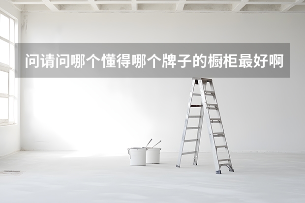 问请问哪个懂得哪个牌子的橱柜最好啊？