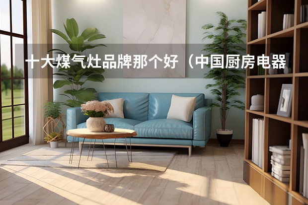 十大煤气灶品牌那个好（中国厨房电器十大品牌有那些？）