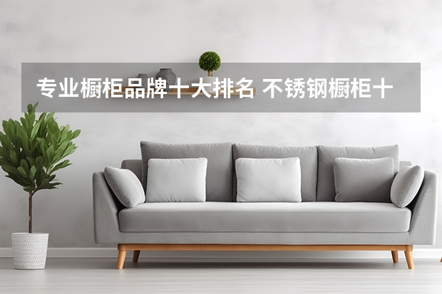 专业橱柜品牌十大排名 不锈钢橱柜十大名牌