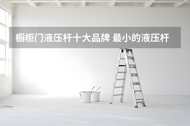 橱柜门液压杆十大品牌 最小的液压杆