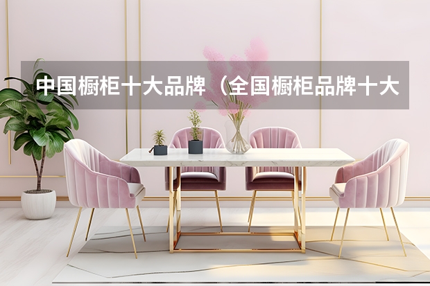 中国橱柜十大品牌（全国橱柜品牌十大排名）