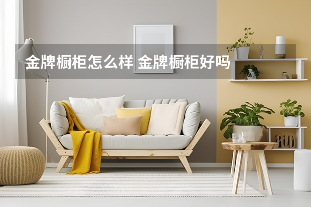 金牌橱柜怎么样 金牌橱柜好吗