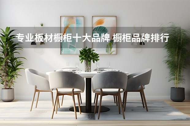 专业板材橱柜十大品牌 橱柜品牌排行前十名