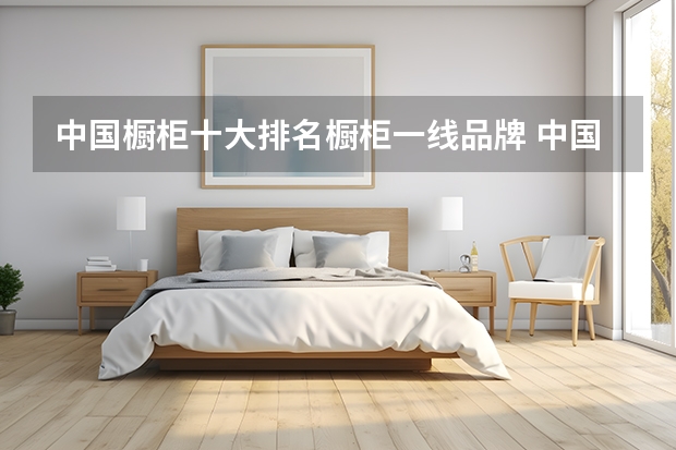 中国橱柜十大排名橱柜一线品牌 中国橱柜十大品牌
