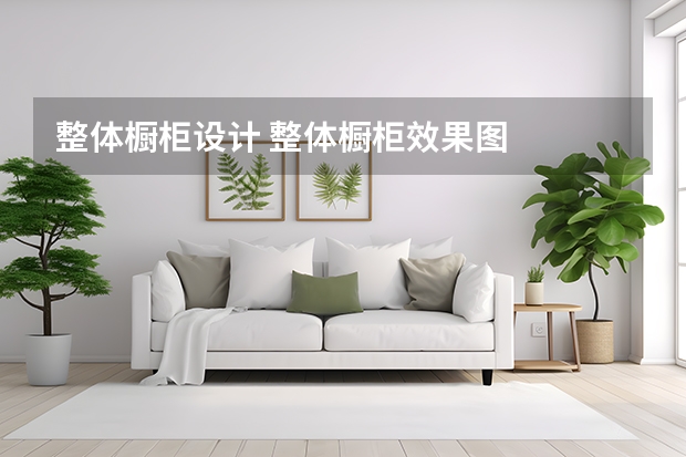 整体橱柜设计 整体橱柜效果图