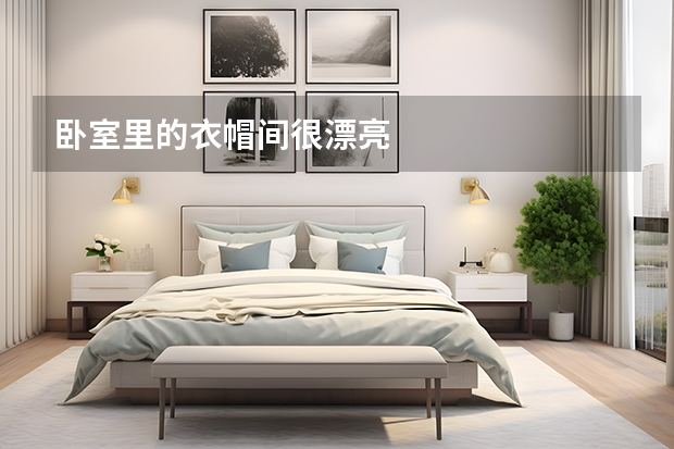 卧室里的衣帽间很漂亮 