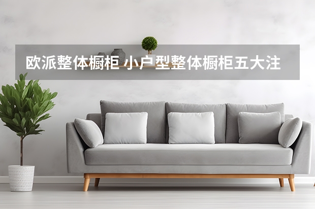 欧派整体橱柜 小户型整体橱柜五大注意要点