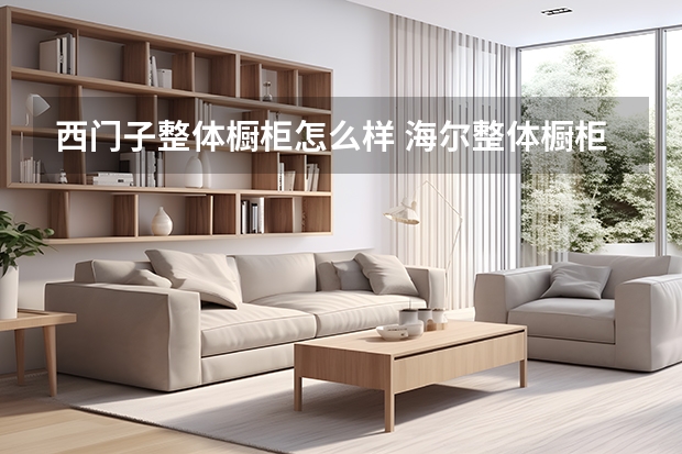 西门子整体橱柜怎么样 海尔整体橱柜价格
