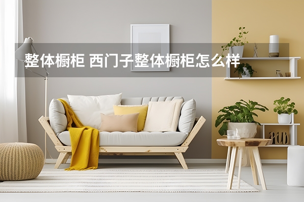 整体橱柜 西门子整体橱柜怎么样
