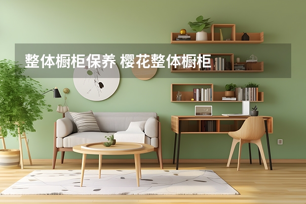 整体橱柜保养 樱花整体橱柜