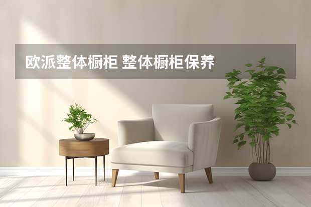 欧派整体橱柜 整体橱柜保养