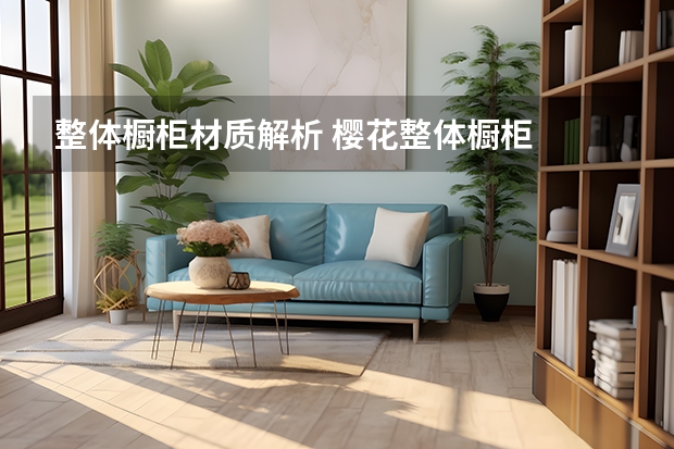 整体橱柜材质解析 樱花整体橱柜