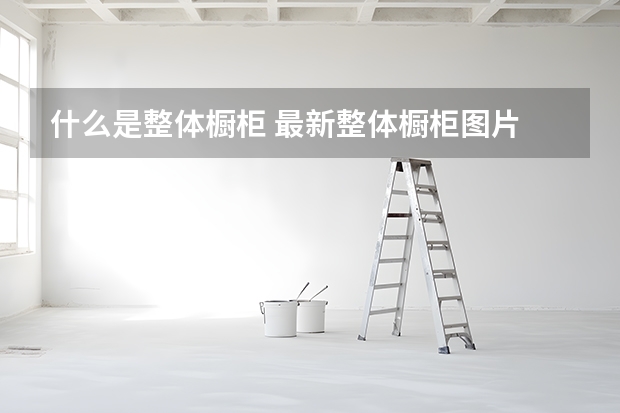 什么是整体橱柜 最新整体橱柜图片