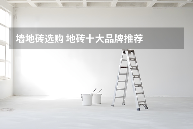 墙地砖选购 地砖十大品牌推荐
