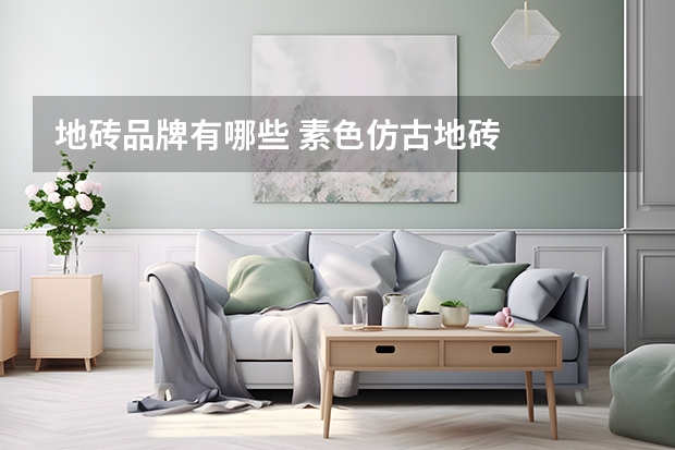 地砖品牌有哪些 素色仿古地砖