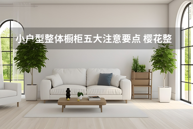 小户型整体橱柜五大注意要点 樱花整体橱柜