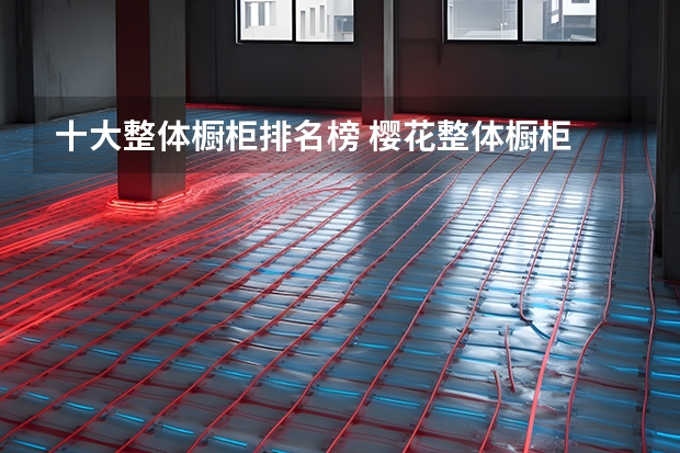 十大整体橱柜排名榜 樱花整体橱柜