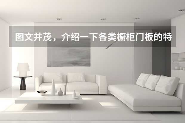 图文并茂，介绍一下各类橱柜门板的特点 橱柜门板种类
