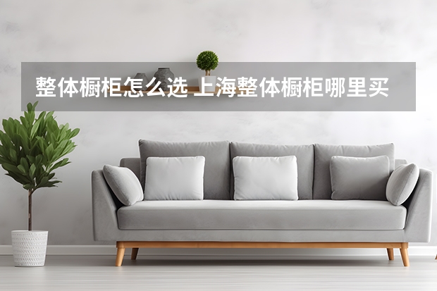 整体橱柜怎么选 上海整体橱柜哪里买