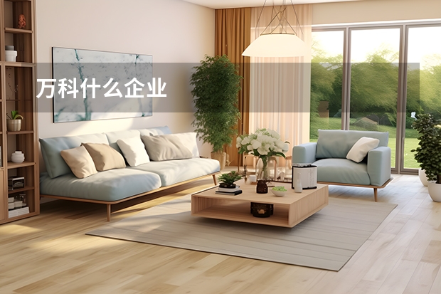 万科什么企业