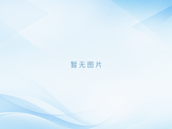 现代物流与供应链服务